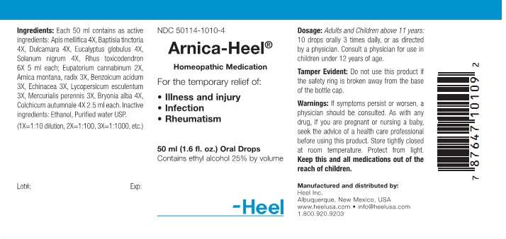 Arnica-Heel